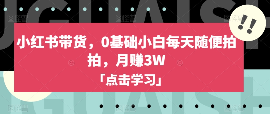 小红书带货，0基础小白每天随便拍拍，月赚3W【揭秘】-小齐资源库